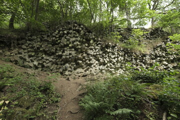 Basaltsäulen im NSG Gangolfsberg in der Kernzone des Biosphärenreservat Rhön, Bayerischen Rhön, Landkreis Rhön-Grabfeld, Unterfranken, Bayern, Deutschland