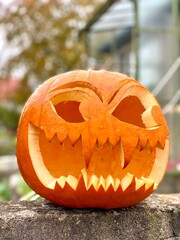 jack o lantern Halloween pumpkin
