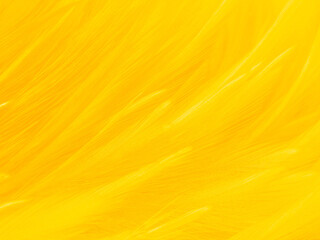 Beautiful abstract orange feathers on yellow background, soft brown feather texture on white pattern background, yellow feather background, love theme, valentines day