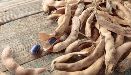 Dry bean pods, healthy organic food.