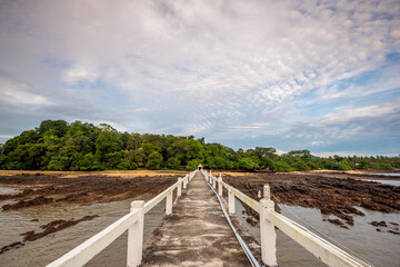 long bridge to forest of temple