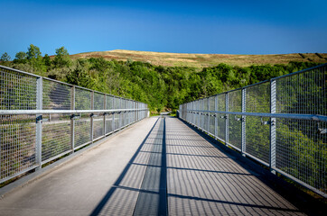 Obraz premium pedestrian bridge in natural landscape
