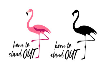 Born to stand out - hand written Christmas quote with a cute flamingo. Hand drawn lettering for motivational cards. Good for t-shirt and mug prints. Vector