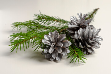 christmas silver pine cones on white back