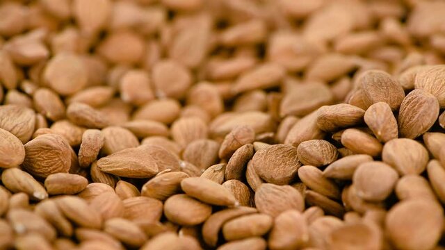Some shelled Apricot Kernels on a rotating plate (seamless loopable)