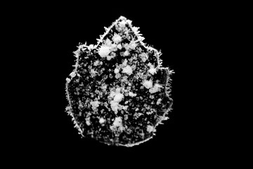 Ice crystals on leaf