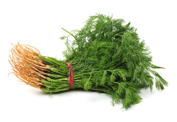 Fresh fennel on white background.