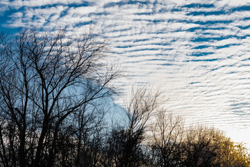 simple blue sky with white clouds in the cool season, freshness and a clear Sunny day in nature