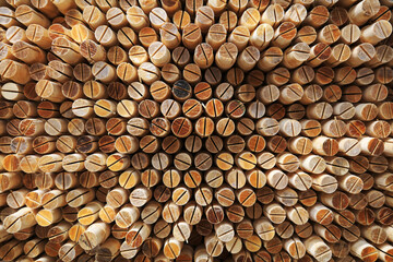 The cross section of wood is in a factory warehouse.