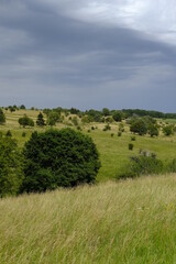 Das Naturschutzgebiet Lange Rhön in der Kernzone des Biosphärenreservat Rhön, Bayerischen Rhön, Landkreis Rhön-Grabfeld, Unterfranken, Bayern, Deutschland