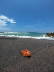 Obraz premium crab shell on a beach