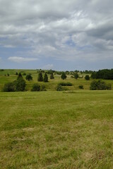Obraz premium Das Naturschutzgebiet Lange Rhön in der Kernzone des Biosphärenreservat Rhön, Bayerischen Rhön, Landkreis Rhön-Grabfeld, Unterfranken, Bayern, Deutschland