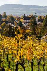 Arlesheim, Dom, Weinberg, Birstal, Birsebene, Dorf, Herbst, Herbstlaub, Baselland, Schweiz