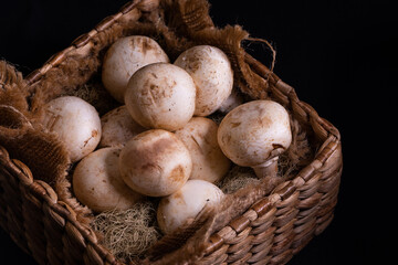 button mushroom on hyacinth box and black background