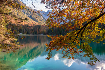 Obraz premium Colorful autumn foliage at the alpine lake