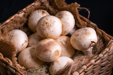 button mushroom on hyacinth box and black background