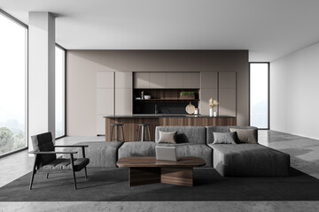 Light gray living room with sofa