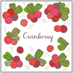 Set with Cranberry, berries, leaves. Graphic hand drawn flat style. Doodle illustration for packaging, menu cards, posters, prints. Isolated over white background.