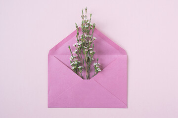 white delicate flowers in a pink envelope on white background