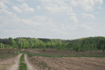 Fototapeta na wymiar A winding dirt road to the forest. Beautiful cloudy sky. Spring landscape.