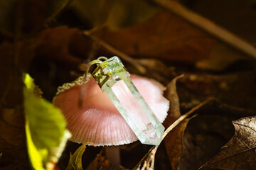 Crystal quartz pendant necklace on autumn forest mushroom