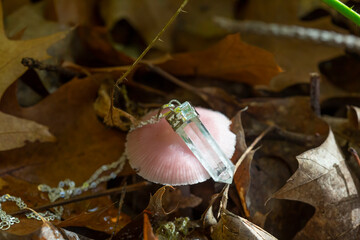 Crystal quartz pendant necklace on autumn forest mushroom