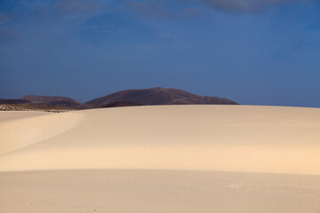 Fototapeta na wymiar Fuerteventura, Canary Islands, nature park Dunes of Corralejo at the north of the island