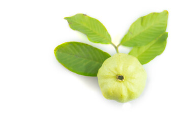 Fresh guavas fruit with leaf on a white background
