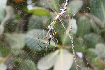 Hiking and diving on the volcanic Cabo Verde islands in Africa