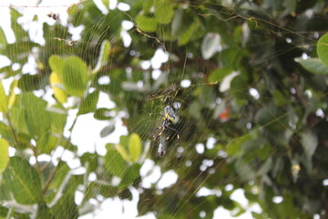 Hiking and diving on the volcanic Cabo Verde islands in Africa