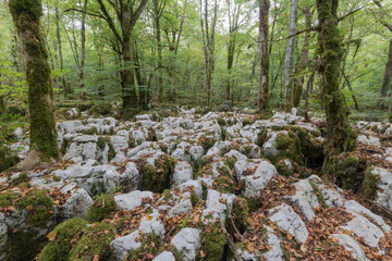 The karstic trail of Malrochers from Jura, France