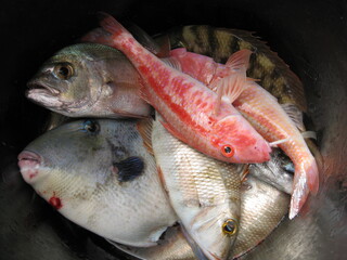Hiking and diving on the volcanic Cabo Verde islands in Africa