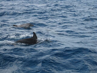 Hiking and diving on the volcanic Cabo Verde islands in Africa