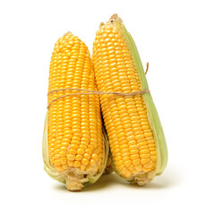 Corn on white background 