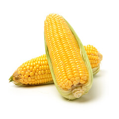 Corn on white background 
