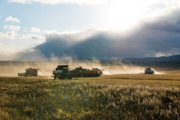 The harvesting machine is working on the field. Combine harvester agricultural machine for...