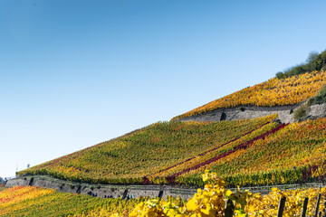 Hiking in the Ahr valley on a sunny autumn day on the red wine trail