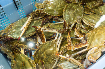 魚市場で売られている新鮮なカニの写真。