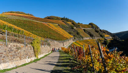 Hiking in the Ahr valley on a sunny autumn day on the red wine trail