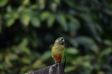 Natureza