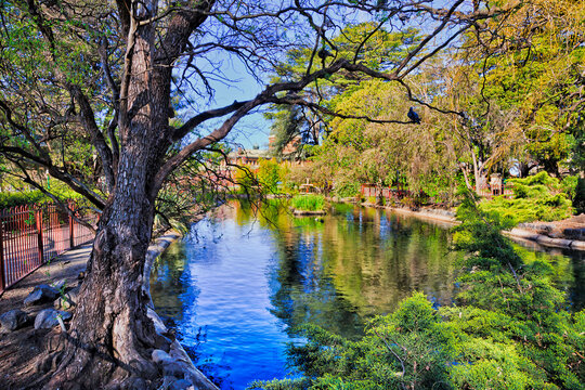 Bathurst Machatie park pond tree