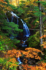 Naklejka premium 紅葉の安比高原