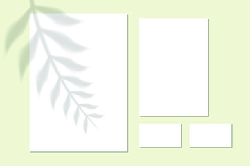 Vector shadow overlay effect. Transparent soft light and shadows from branches, plant and leaves. Mockup of transparent leaf shadow and natural lightning.