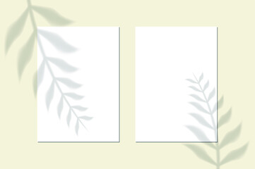 Vector shadow overlay effect. Transparent soft light and shadows from branches, plant and leaves. Mockup of transparent leaf shadow and natural lightning.