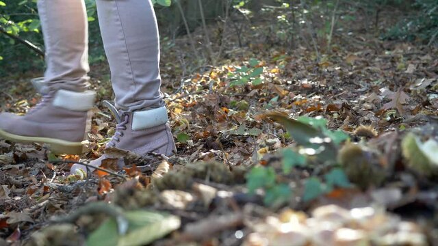 View feet woman's walking in the woods. Slow motion 4K