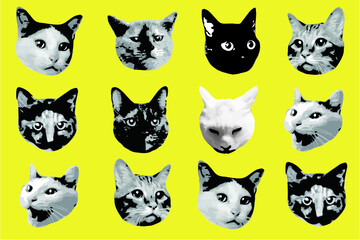 色々な種類の猫の顔のセット