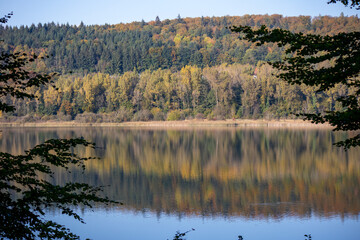 Die Spiegelung  im Herbst