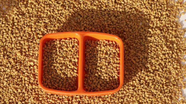 Fenugreek seeds in wooden spoon on beautiful background,Fenugreek seeds in wooden bowl with spoon,methi(fenugreek) seeds,inadian spice methi or funugreek in wooden