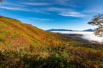 Fototapeta na wymiar 北海道・大雪山系の赤岳で見た、色鮮やかな銀泉台の紅葉と青空、迫り来る雲海