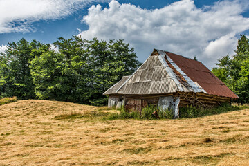 krajobraz, góra, lato, bezdroża, las, szlak, piesze wycieczki, niebo, chmury © yanek